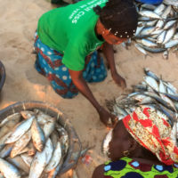 Travail décent au Sénégal